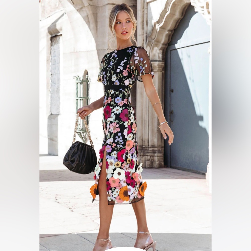 NWT - Vici Georgina Floral Applique Midi